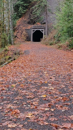 tunnelRoad vertical