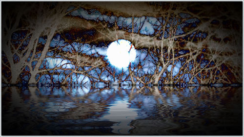 Tangled Moon, From an early December photograph of the full moon, taken at 4am. The 'Cold Moon'. The closest to Earth in it's orbit for the year.