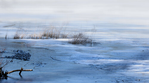 early spring pond, 