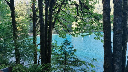 Water's Edge, A picture I took at Crescent Lake