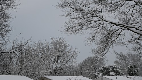Snowy Rooftops (December 2025), 