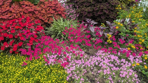 Summer Flowers, 